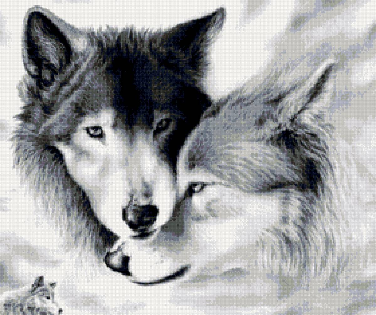 Пара волков - верность, волки - предпросмотр