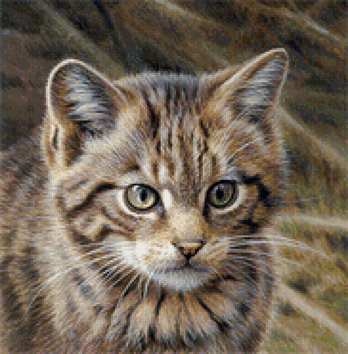 котик - кошки - предпросмотр