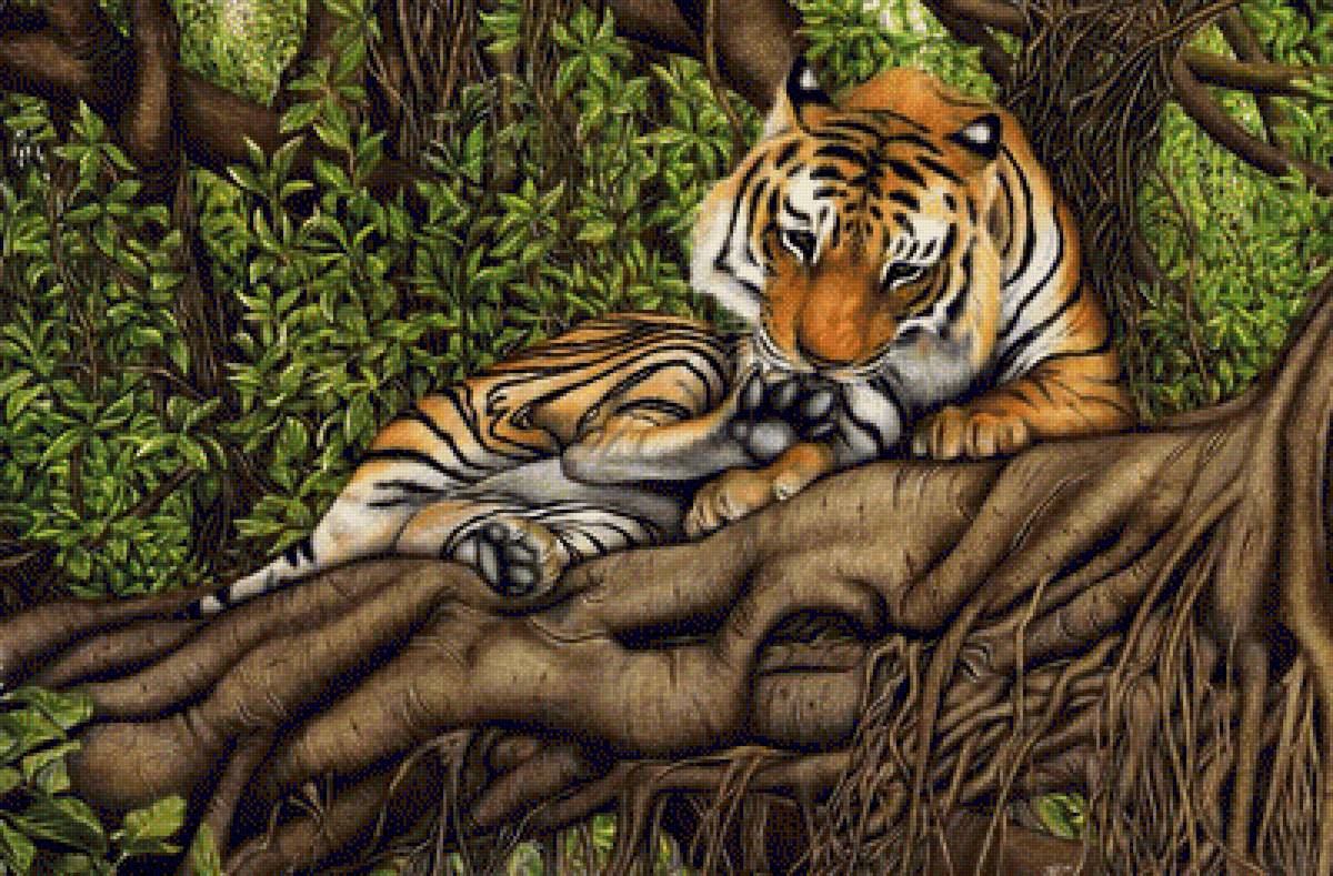 №1420563 - тигры, хищники, животные, тигр - предпросмотр