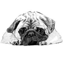 Мопсик - оригинал