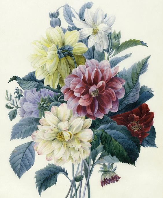 Букет георгин - букет, живопись, цветы - оригинал