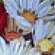 Предпросмотр схемы вышивки «Полевые цветы» (№1421439)