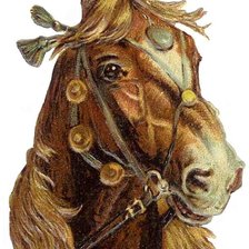Схема вышивки «рисунок лошади»