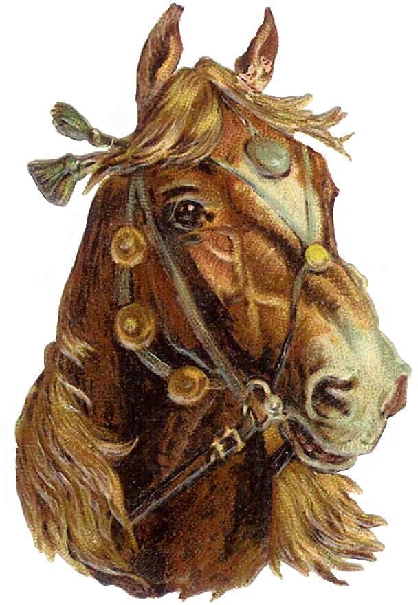 рисунок лошади - рисунок лошади - оригинал