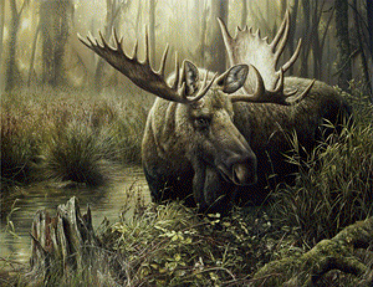 лось - лось - предпросмотр