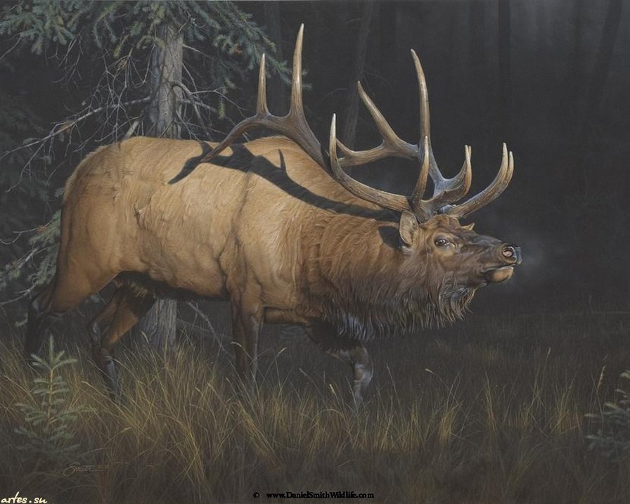 олень - олень - оригинал