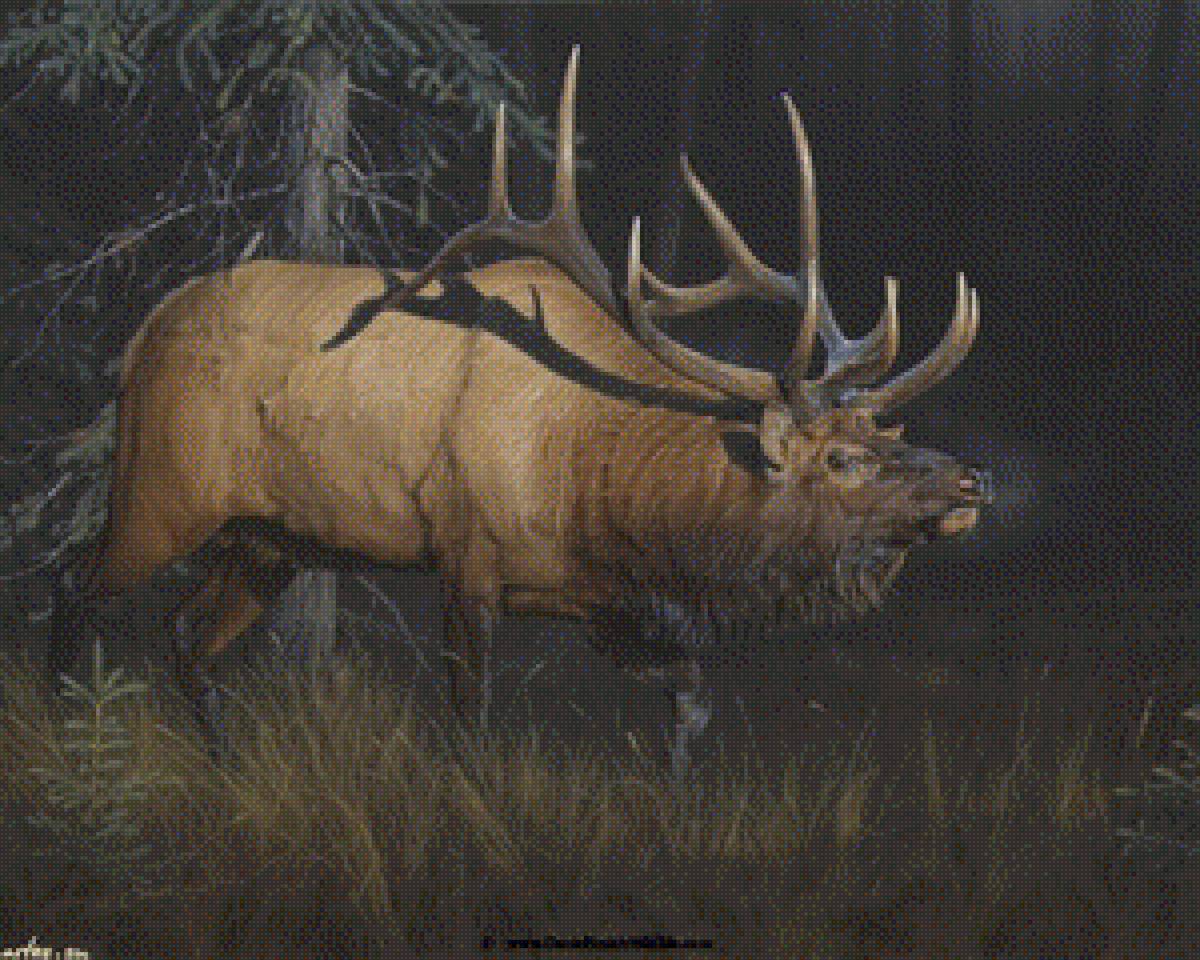 олень - олень - предпросмотр