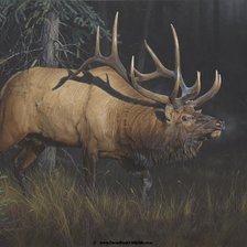 Схема вышивки «олень»