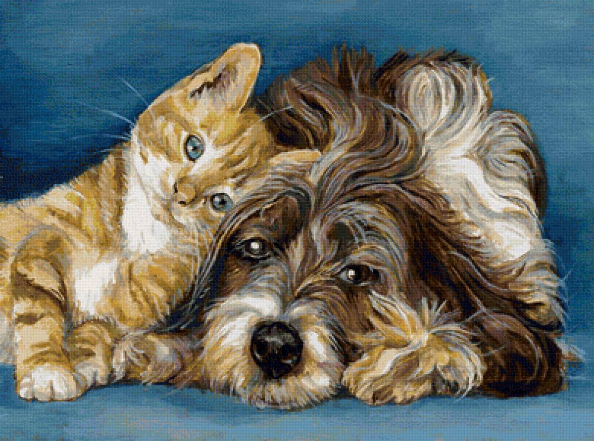 Идилия - собака, котенок, домашние животные - предпросмотр