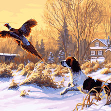 Схема вышивки «озота»