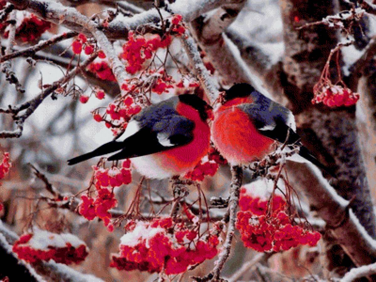 №1421937 - предпросмотр