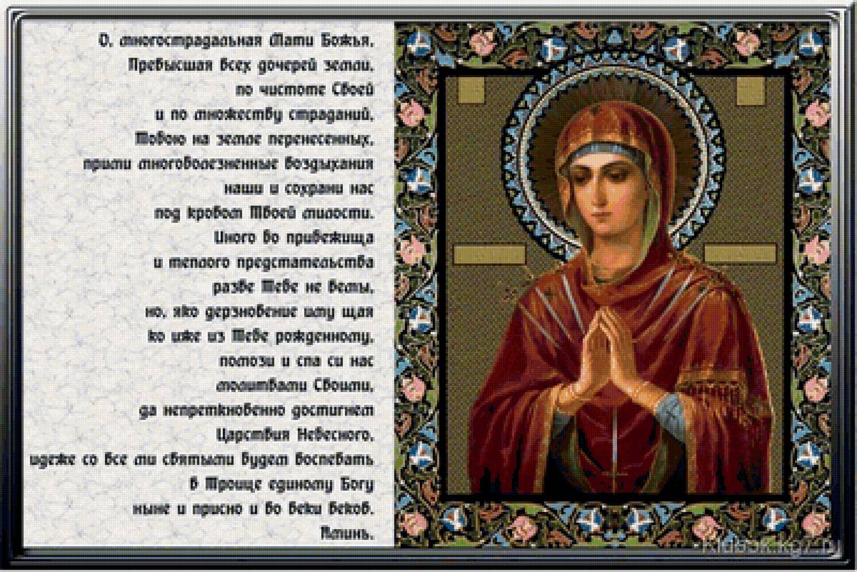 №1422023 - предпросмотр