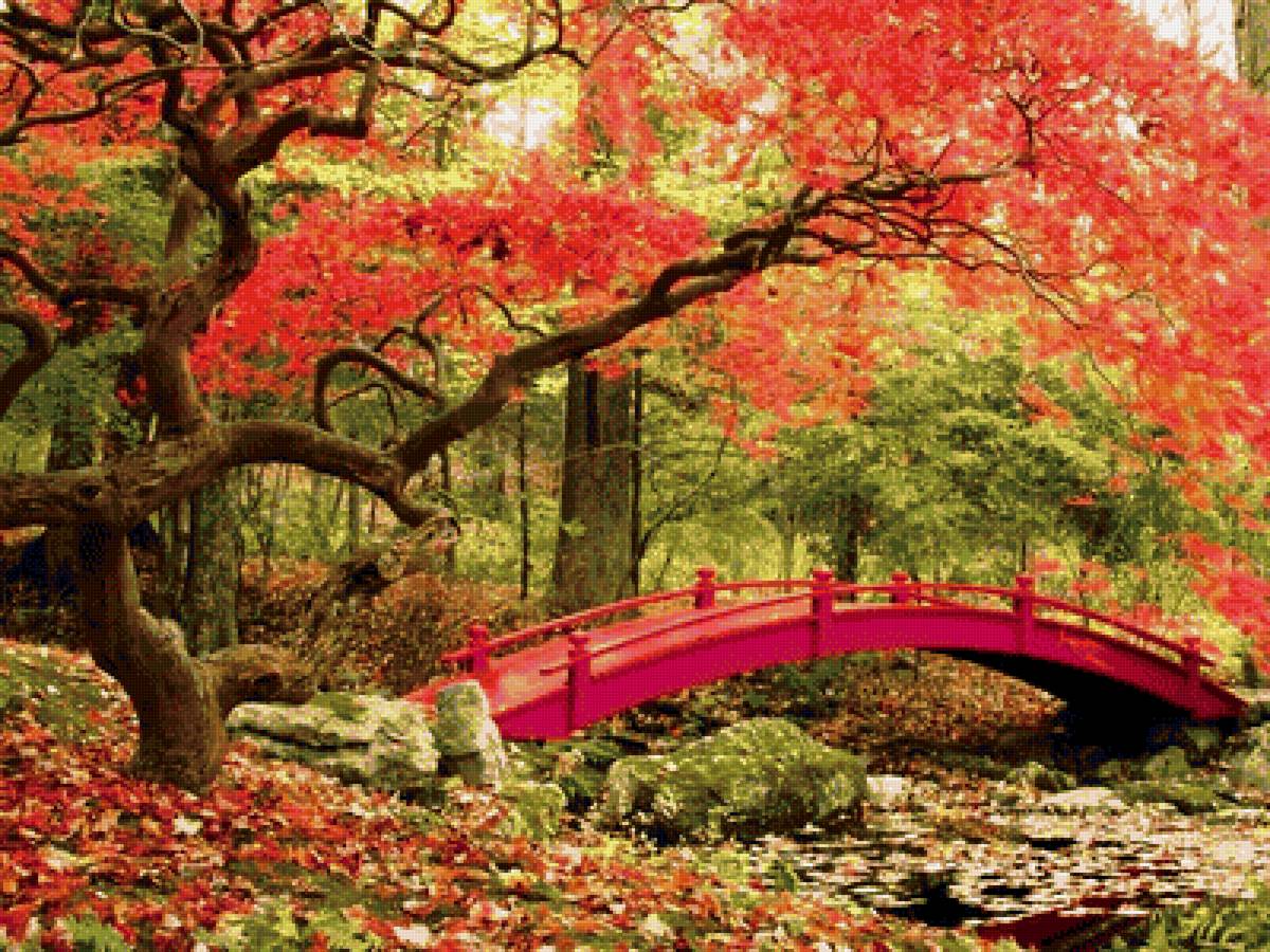 парк - осень, парк - предпросмотр