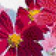 Предпросмотр схемы вышивки «цветочки» (№1422311)