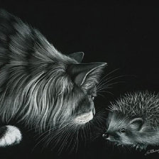 Схема вышивки «кошка»