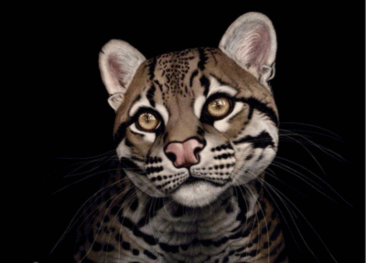 мир животных - предпросмотр