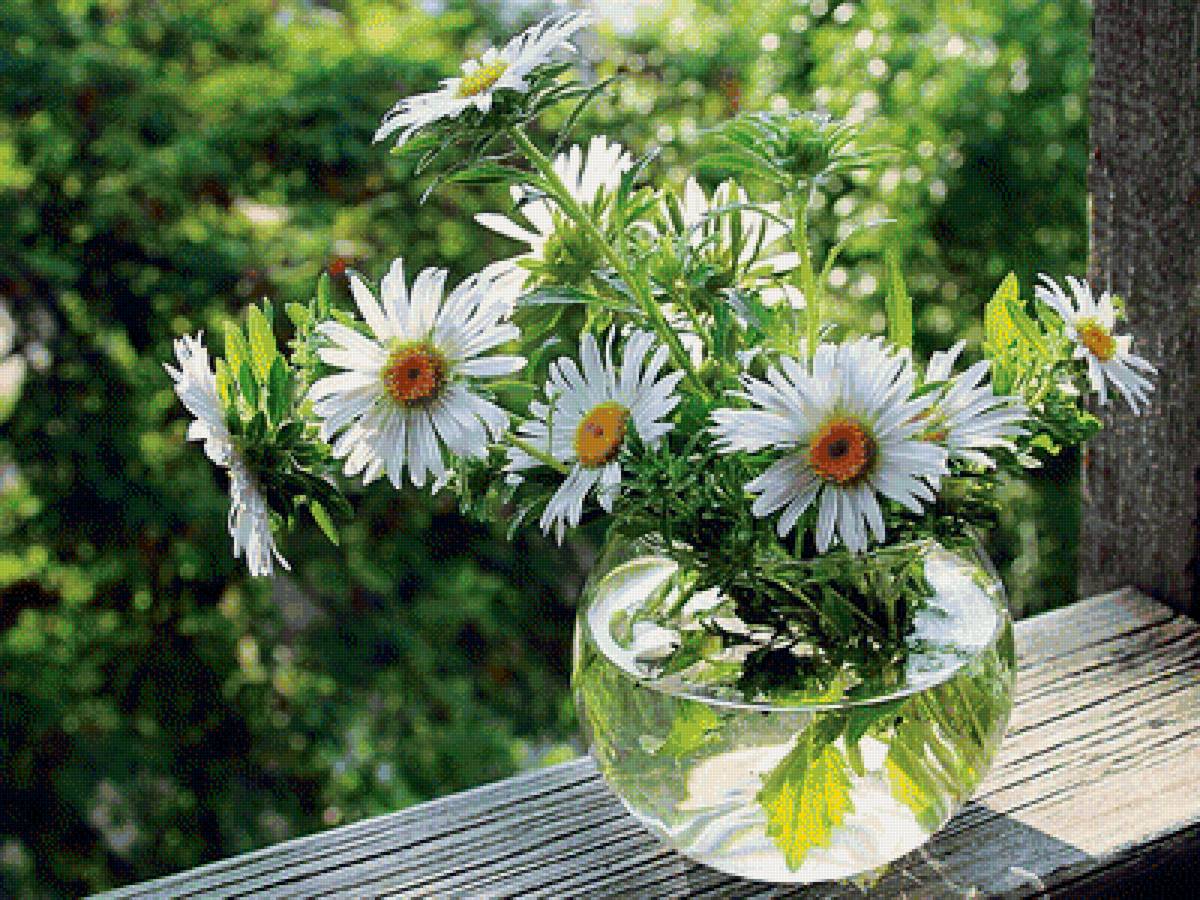 №1423395 - цветы - предпросмотр