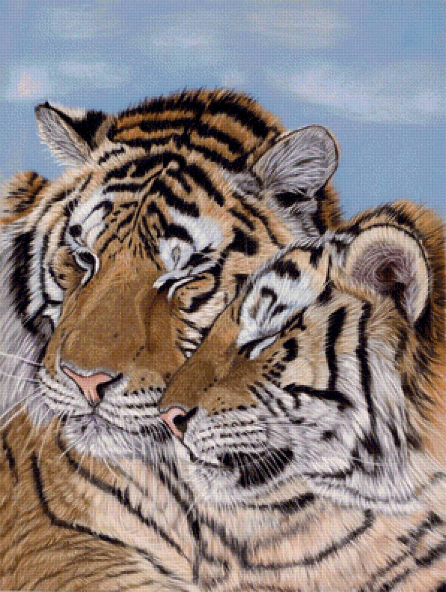 №1423401 - тигр, тигры, хищники, животные - предпросмотр