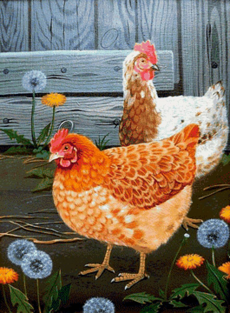 Курочки - вышивка крестом - предпросмотр