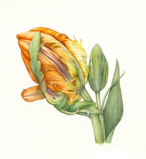 цветок - оригинал