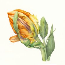 Схема вышивки «цветок»