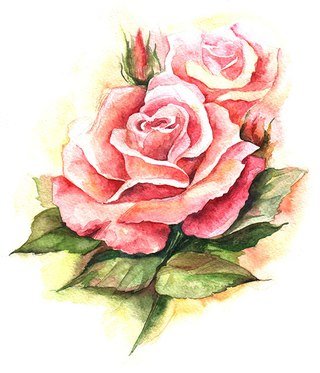 Роза - роза, цветок, розовый - оригинал