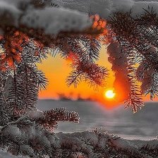 Схема вышивки «зима»