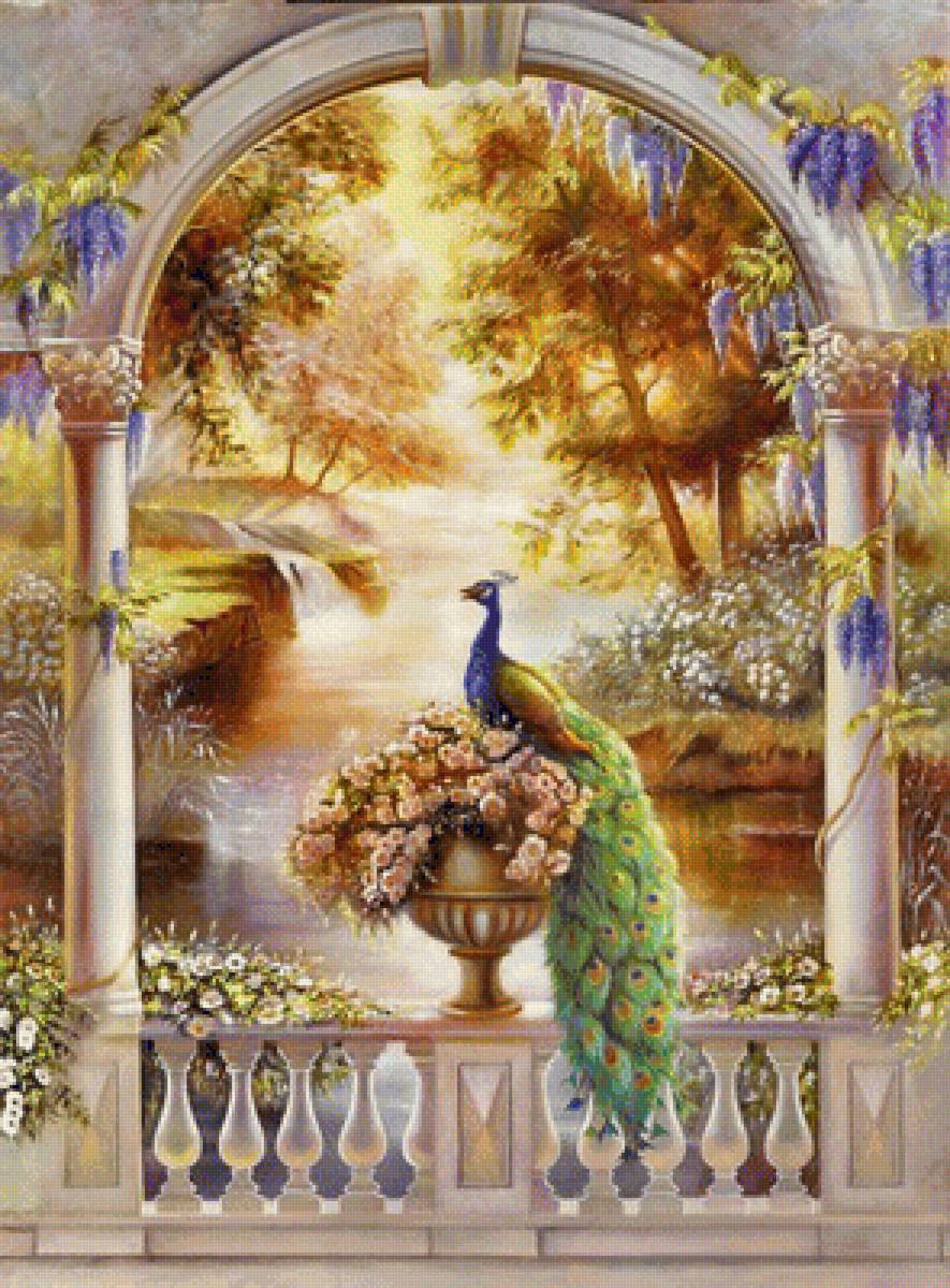 Павлин - арка, павлин - предпросмотр