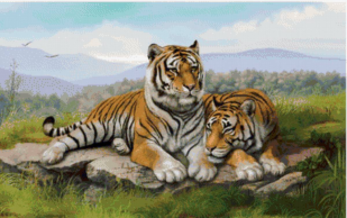 тигр на природе - животные, тигр, природа - предпросмотр