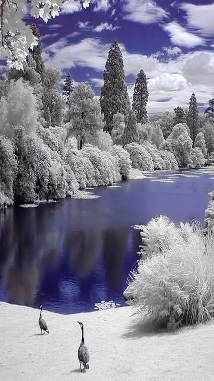 чюдеса природы - зима, природа - оригинал