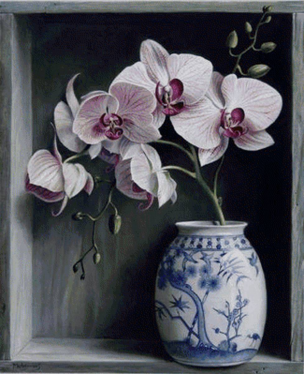 №1426923 - предпросмотр