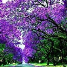 Схема вышивки «картина»