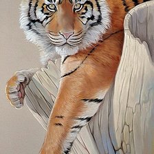 Оригинал схемы вышивки «Портрет тигра» (№1427153)