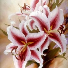 Схема вышивки «№1427827»