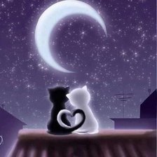 кошки на крыше