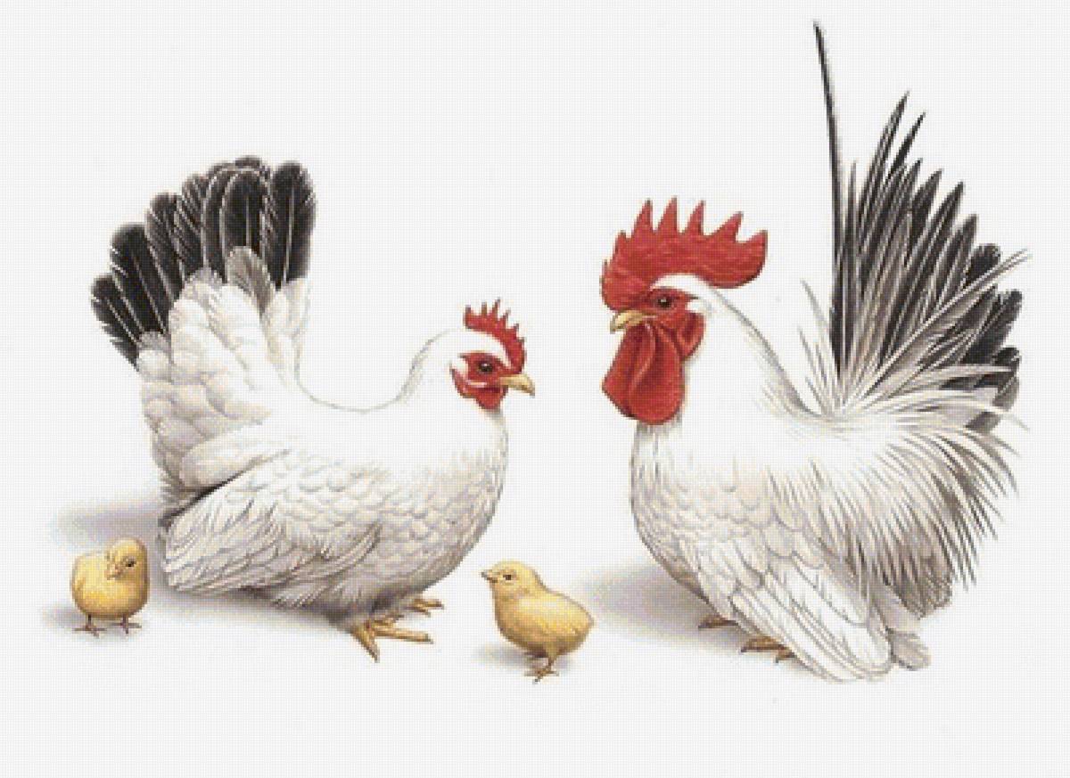 №1428320 - предпросмотр