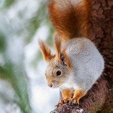 Схема вышивки «№1428759»