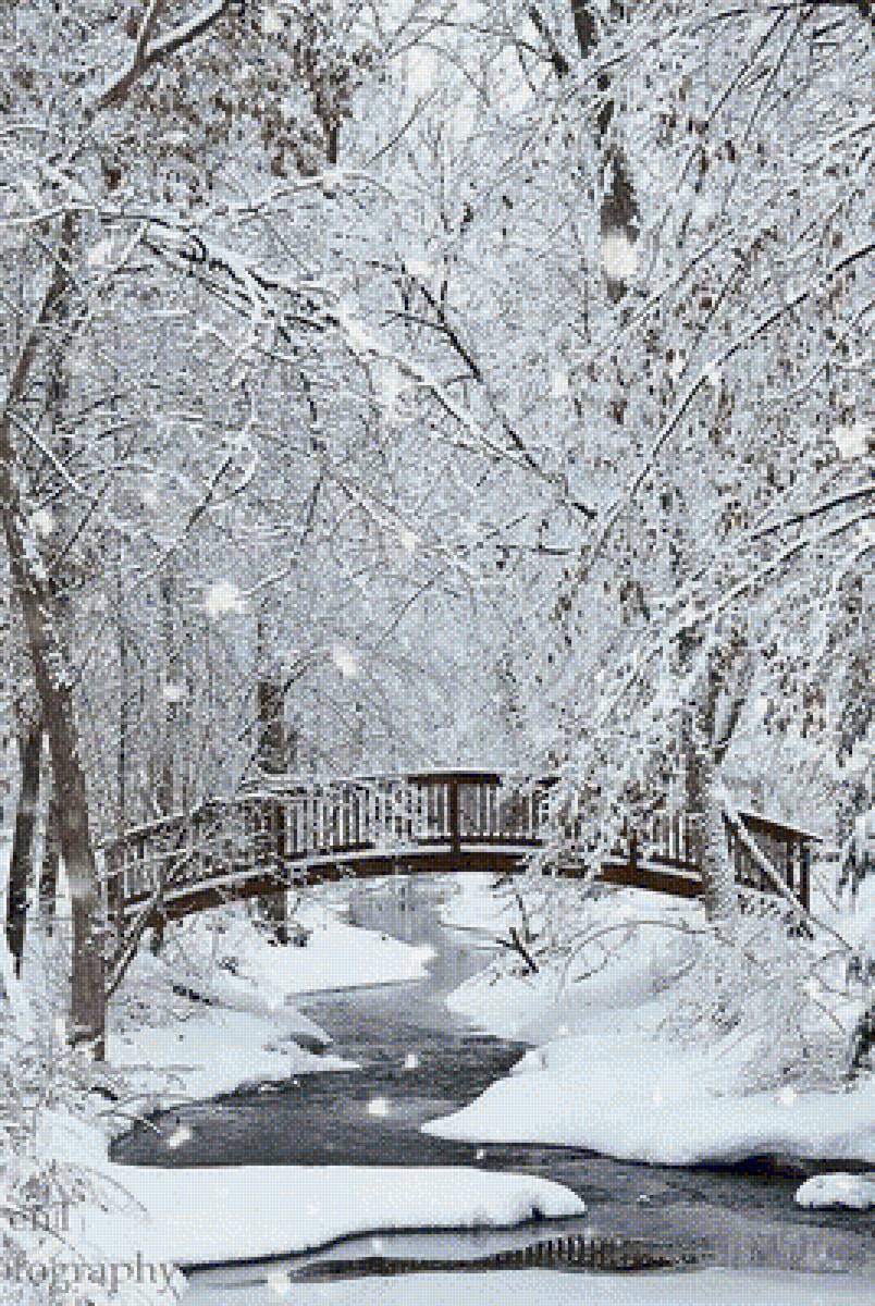 №1428768 - предпросмотр