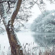 Схема вышивки «№1428777»