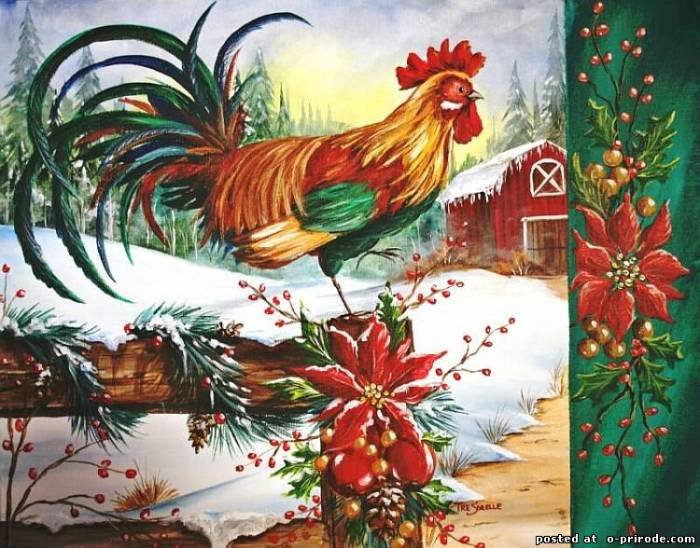 петух - открытки - оригинал