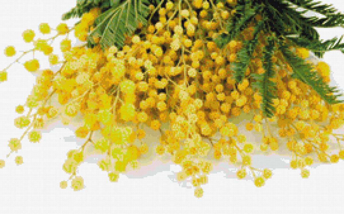 №1428928 - предпросмотр