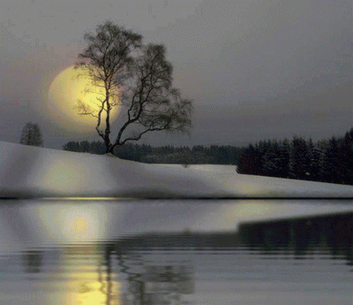 №1428937 - предпросмотр