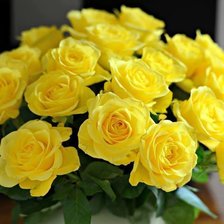 Схема вышивки «№1428955»