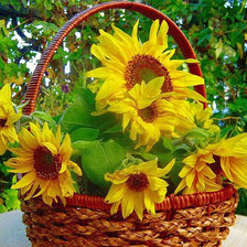 Схема вышивки «№1428961»