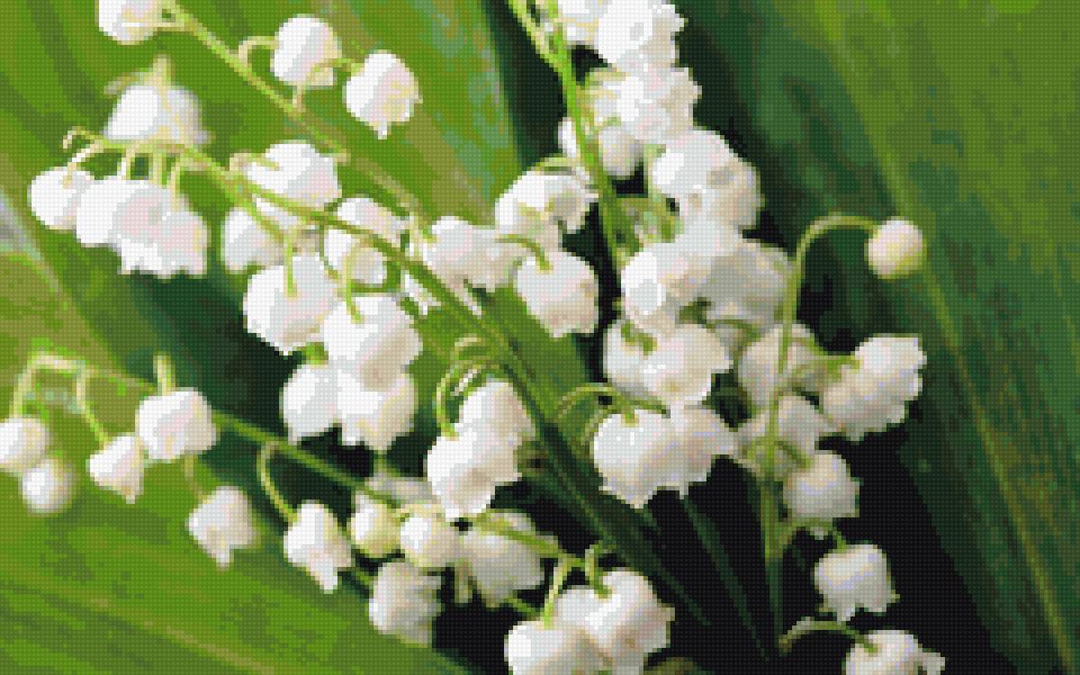 №1428968 - предпросмотр