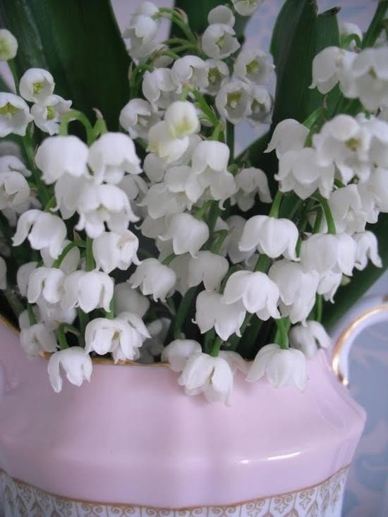 №1428971 - оригинал