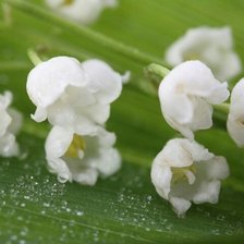 Схема вышивки «№1428973»