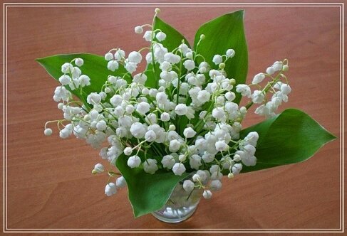 №1428978 - оригинал