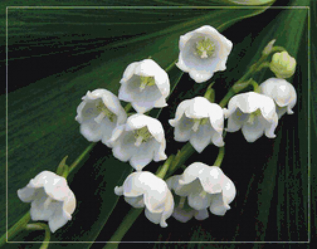 №1428980 - предпросмотр