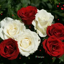 Схема вышивки «№1428996»